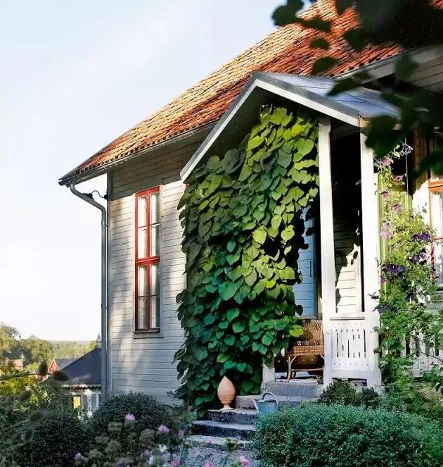 青島庭院設(shè)計 青島庭院設(shè)計