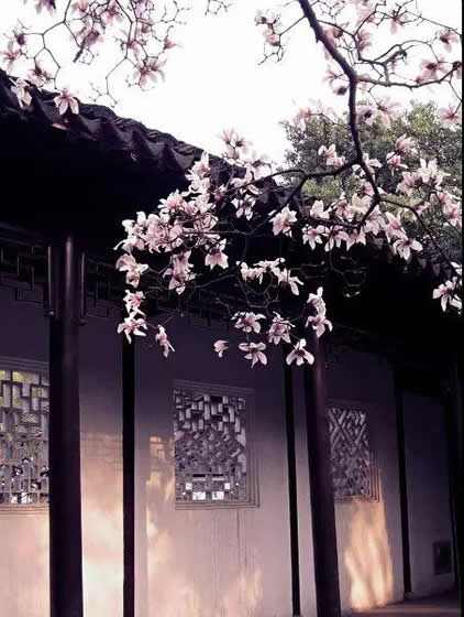 青島別墅庭院設(shè)計