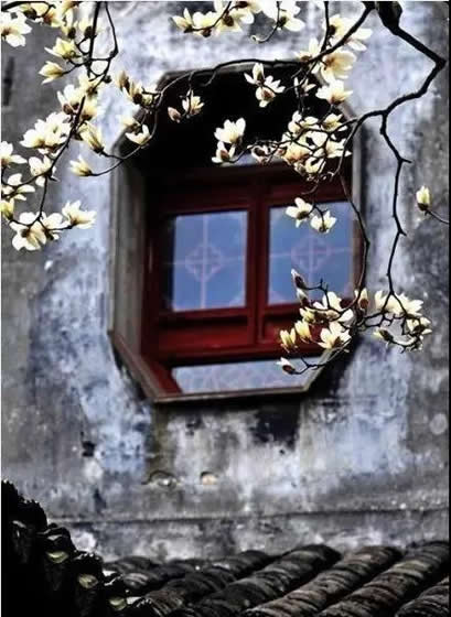 青島庭院設(shè)計