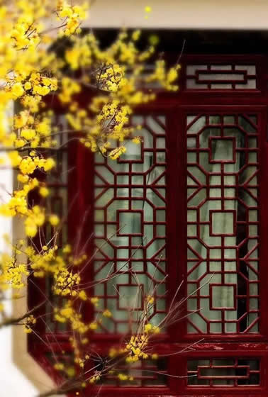 青島別墅庭院設(shè)計