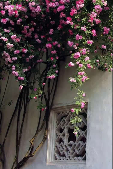 青島花園設(shè)計