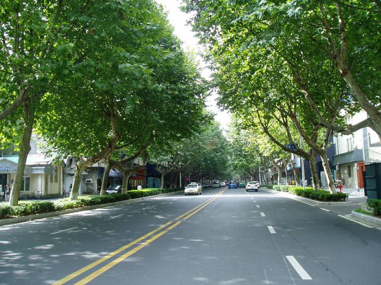 青島庭院設(shè)計(jì),青島別墅景觀設(shè)計(jì)