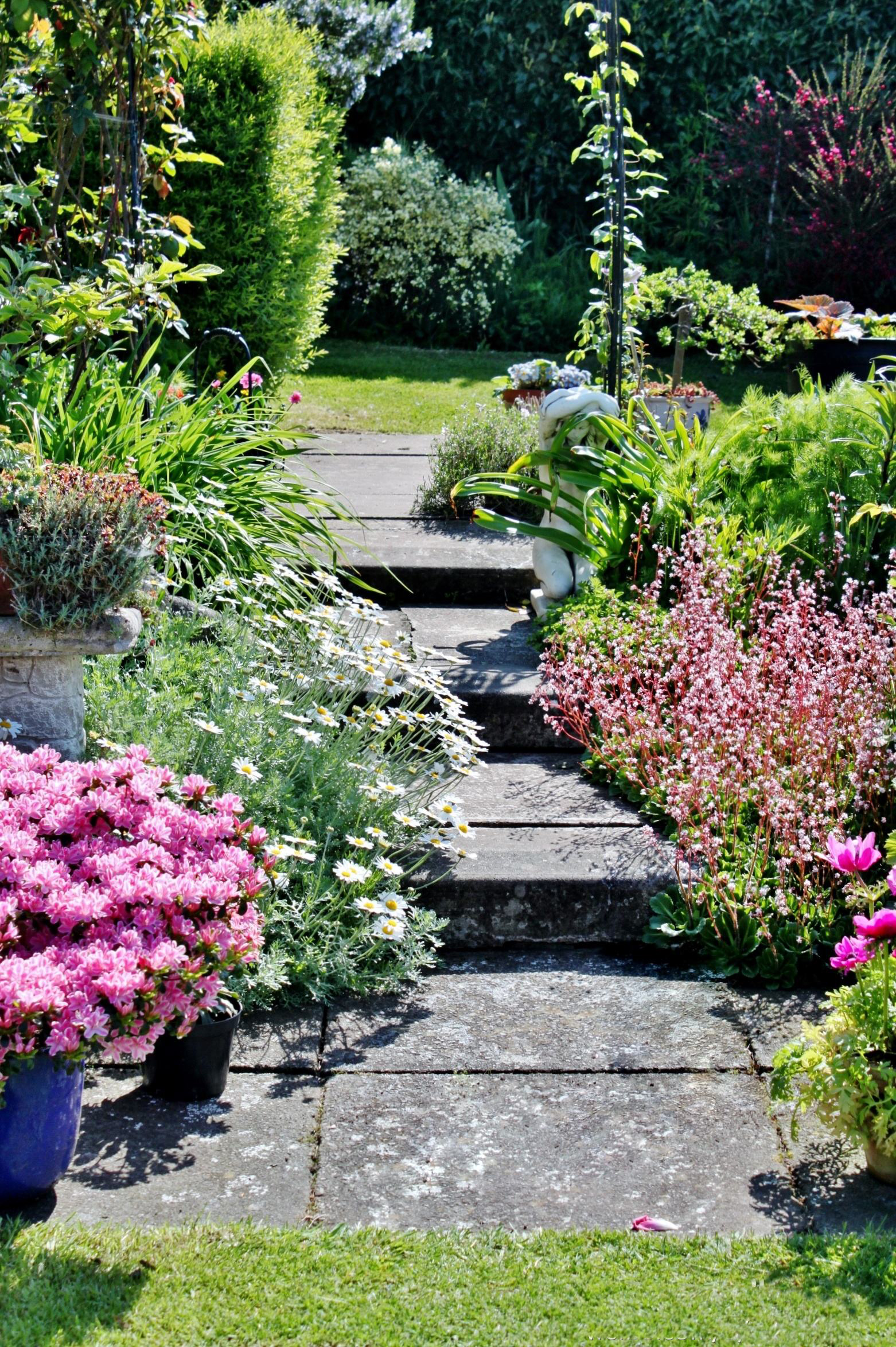 青島庭院設(shè)計