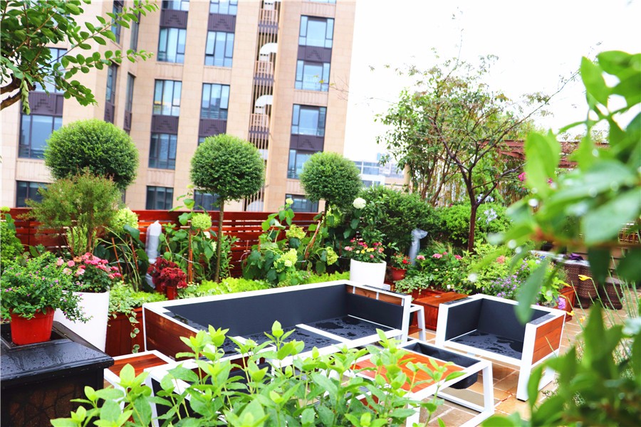 屋頂花園設(shè)計(jì),露臺(tái)花園設(shè)計(jì)