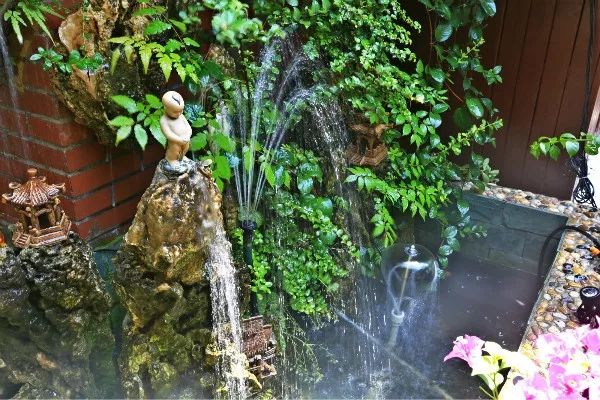 熱血老男人城市花園夢，退伍老兵費(fèi)時(shí)3年打造出驚艷中式園林