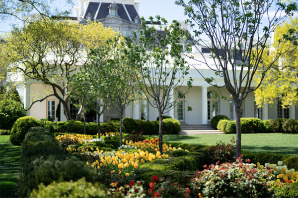 由于不太懂庭院景觀設(shè)計(jì)，特朗普總統(tǒng)一家被罵上熱搜榜