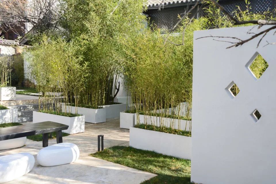 竹，庭院景觀設(shè)計(jì)中的必備