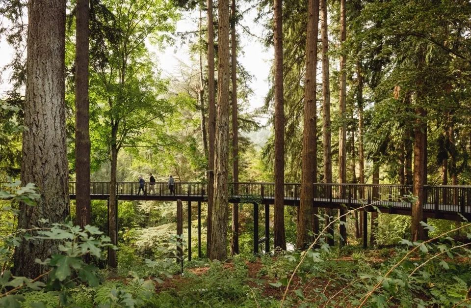 庭院施工流程和關鍵節(jié)點把控，做好了，你的花園設計自會絕美呈現