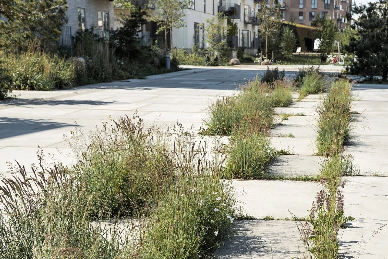 設計施工細節(jié)，決定花園的品質！