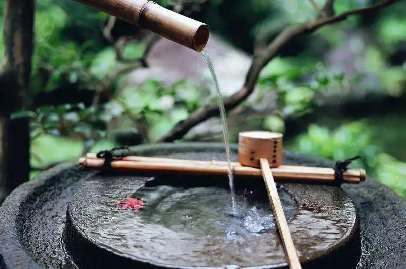 庭院驚鹿，讓水流與禪心共存