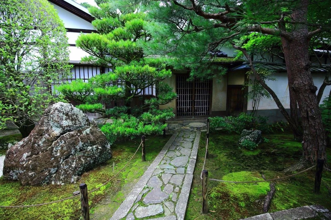 庭院里的青苔，見證悠悠時光，品味自然樸質(zhì)