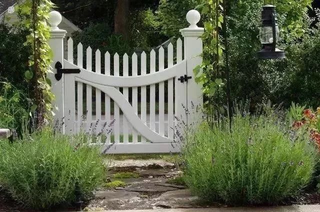 花園中曲線的應用，視覺效果拉滿了！