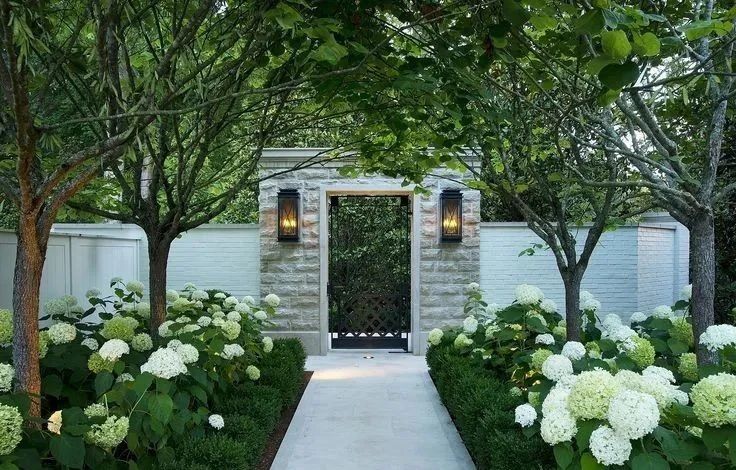 穩(wěn)定與均衡 | 花園植物造景，這兩點(diǎn)一定要注意!