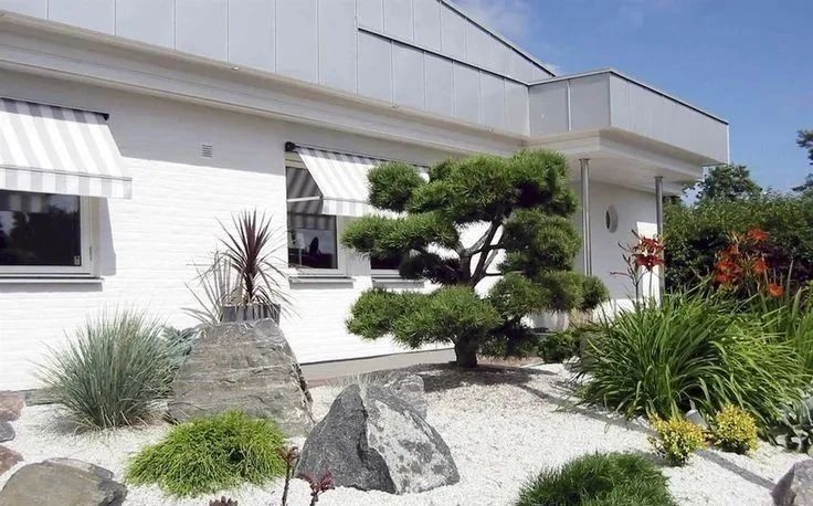 院子里的天然氧吧都有誰？一起來探究吧~