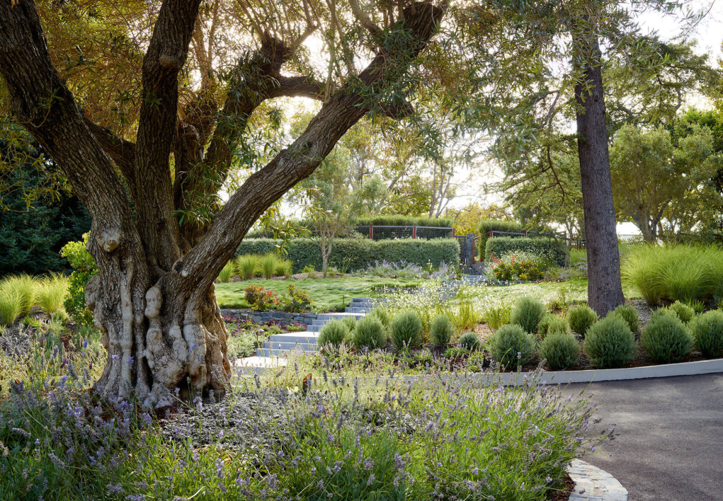 在花園中回歸自然，這四類熱門風(fēng)格哪個(gè)是你的心頭好？