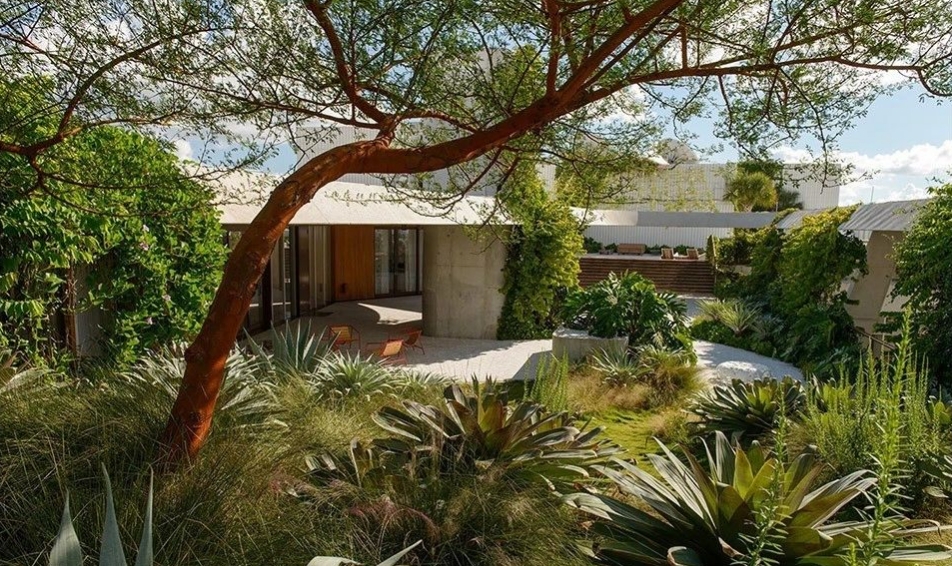 花園，拉近人與自然的關系