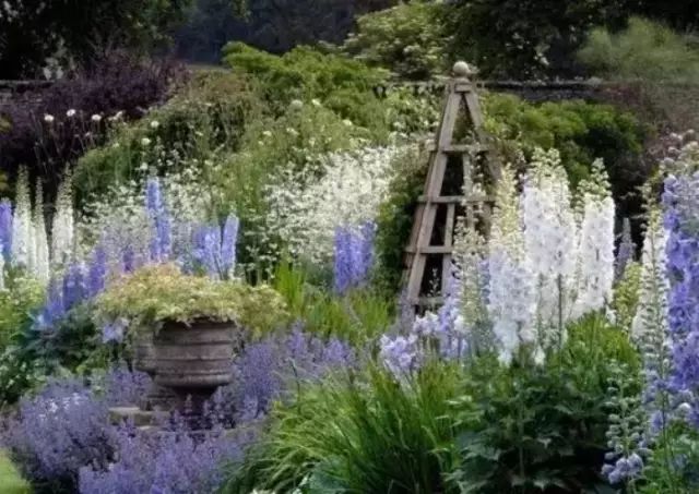 這樣打造花園，植物質(zhì)感大提升，這才是庭院該有的樣子！