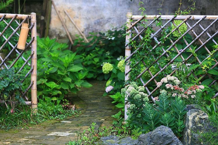 有個菜園，春種秋收，真好