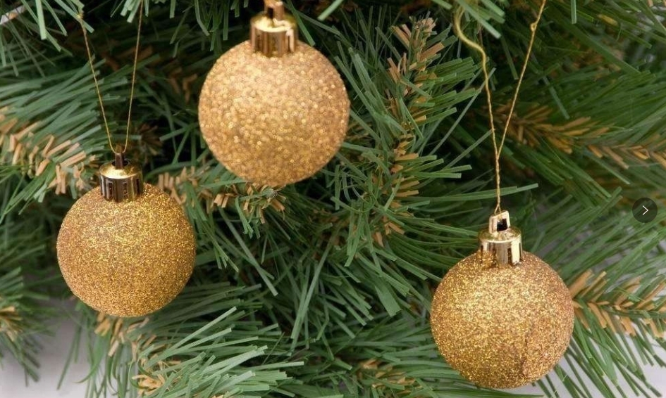 庭院中，這些植物搭配小技巧，你都掌握了嗎！