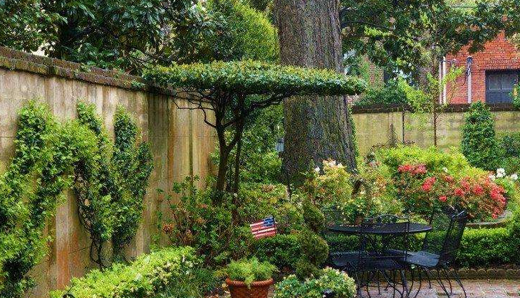 庭院里的種樹很簡(jiǎn)單？其實(shí)大有說法~