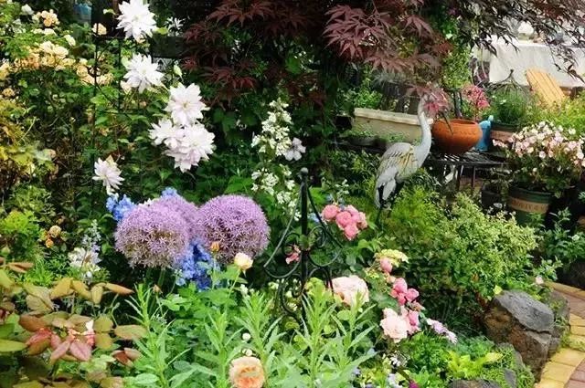 身居一方庭院，享受一方浪漫，花園愿與你相伴到老
