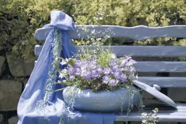 玩轉(zhuǎn)容器花園，這份攻略必須收藏