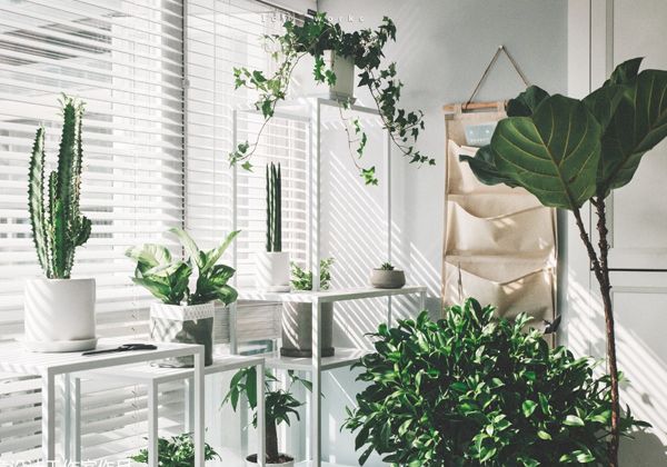 把陽(yáng)臺(tái)改造成小花園，這7種風(fēng)格，你最喜歡哪一種？