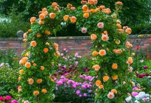 小院子+拱門(mén)，瞬間讓你的花園美成仙境