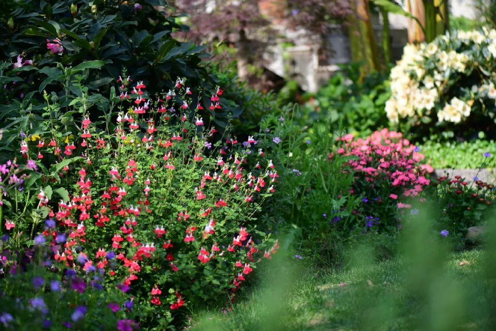花園之美，美在哪些方面？日照花園設(shè)計(jì)