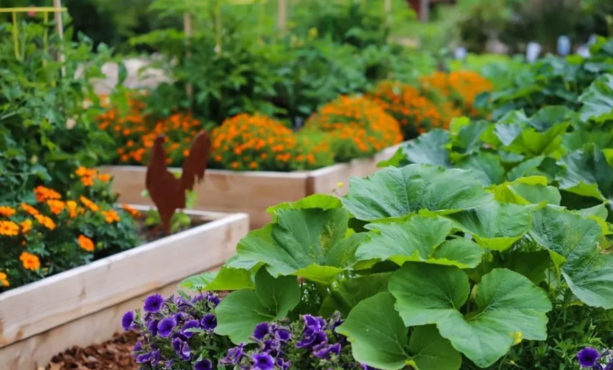 植物是心靈的療愈師