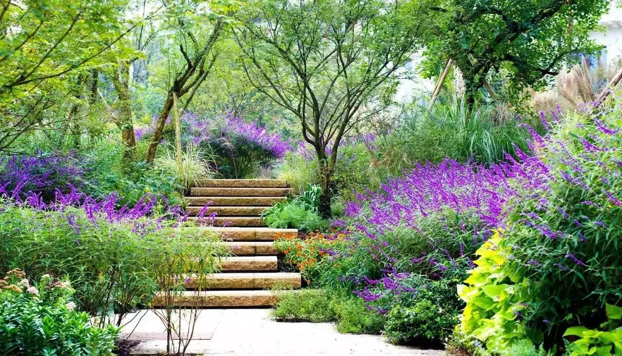 植物配置六大秘訣，助你的花園變成花海