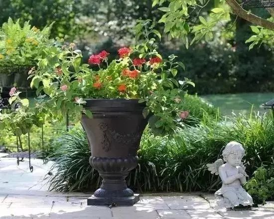 玫瑰花園的設(shè)計(jì)理念