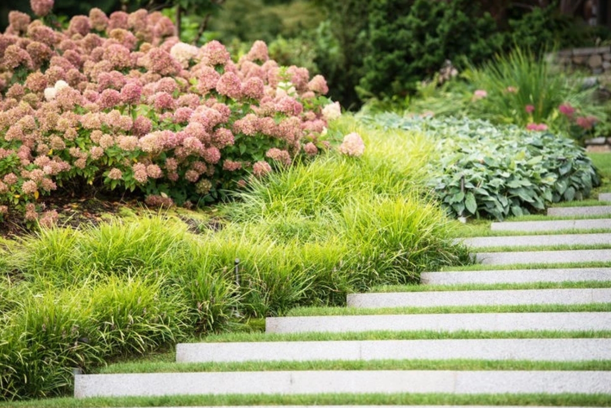 花園很蕭瑟？那一定是少了它！庭院觀賞草，為冬天增添色彩的不二之選！