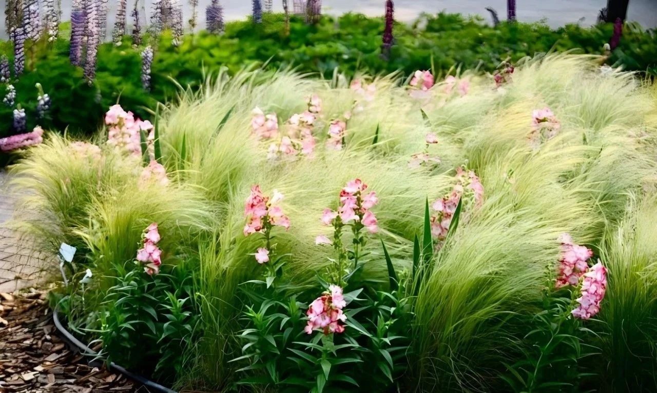 共建親子花園，讓孩子接觸身邊的大自然，度過(guò)快樂(lè)的戶外時(shí)光