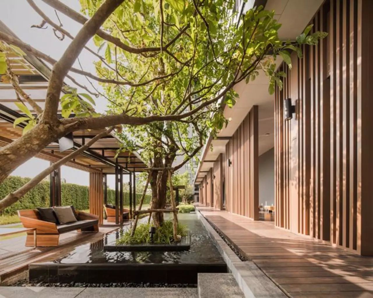 庭院設計6大法則，輕松擁有最美庭院~