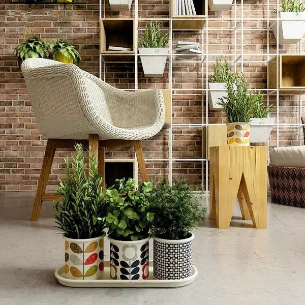 如此精致的室內(nèi)花園，你也能擁有！