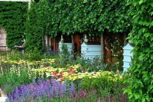 英式花園營(yíng)造要點(diǎn)，助力你的自然風(fēng)花園夢(mèng)