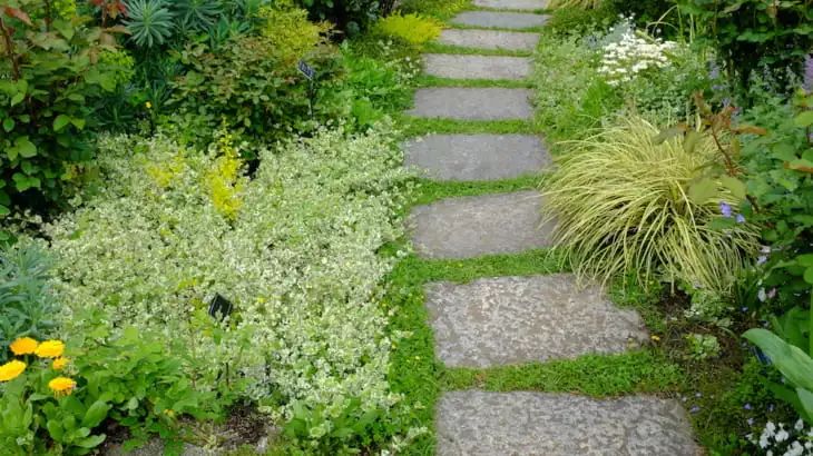 你的院子，怎能少了精致的花園小徑