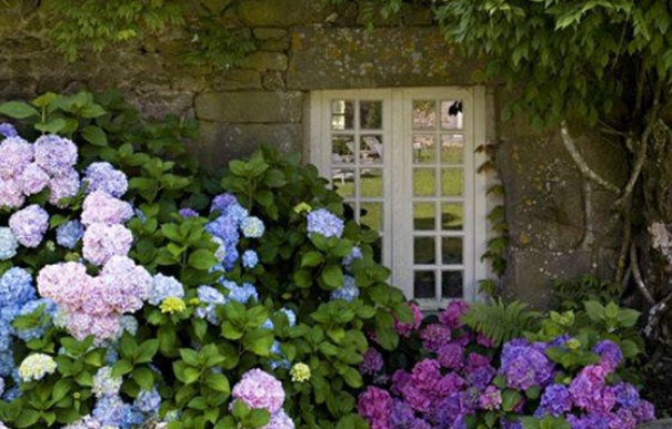 花園里就是一定要種滿花啊……許你繁花似錦