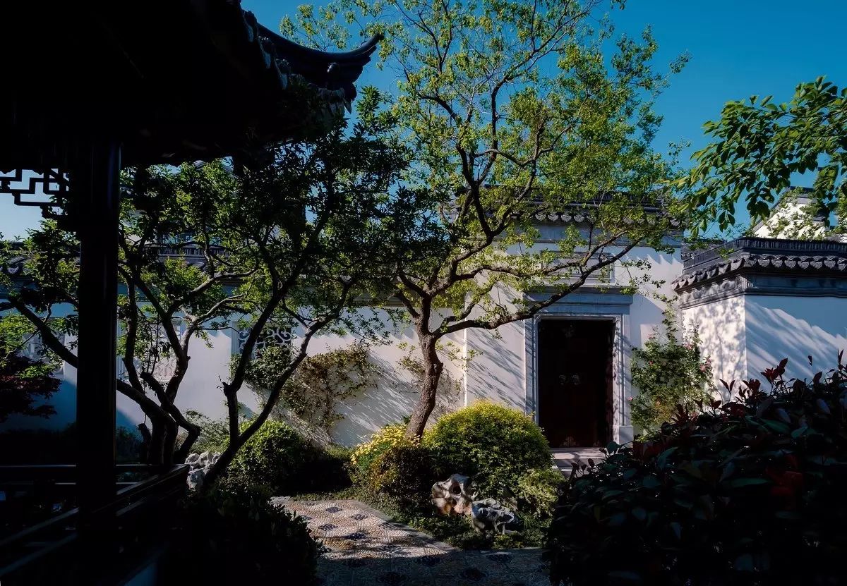 走進園林，方才知春色幾許！