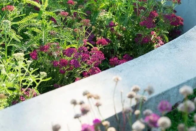 花境營(yíng)造，只要用對(duì)了方法，其實(shí)沒(méi)那么難