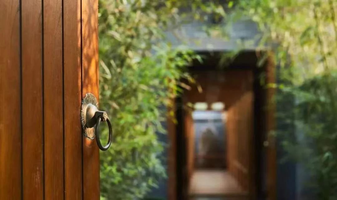 現(xiàn)代庭院也能有茂林修竹，種下一片清幽秀麗