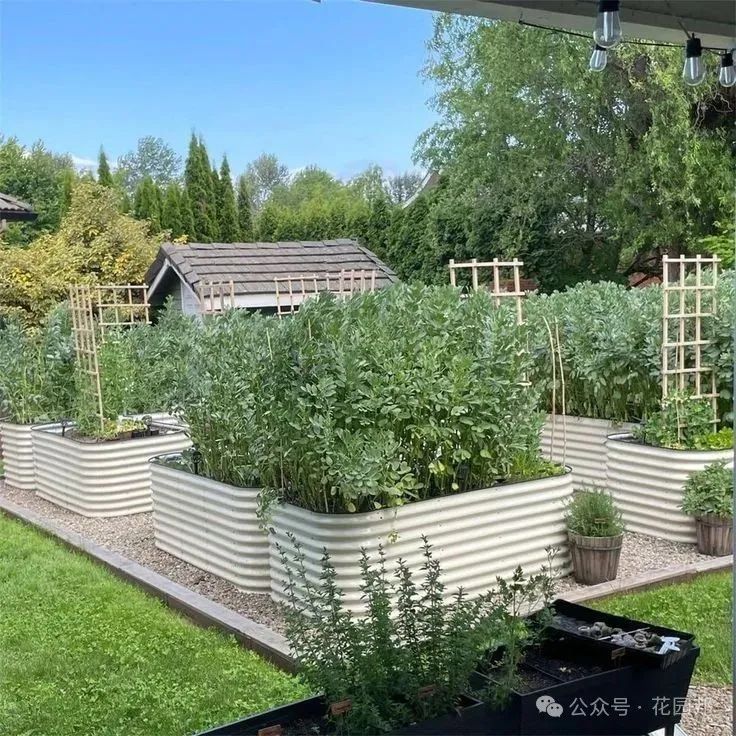 建造花園應(yīng)該關(guān)注哪些問(wèn)題？