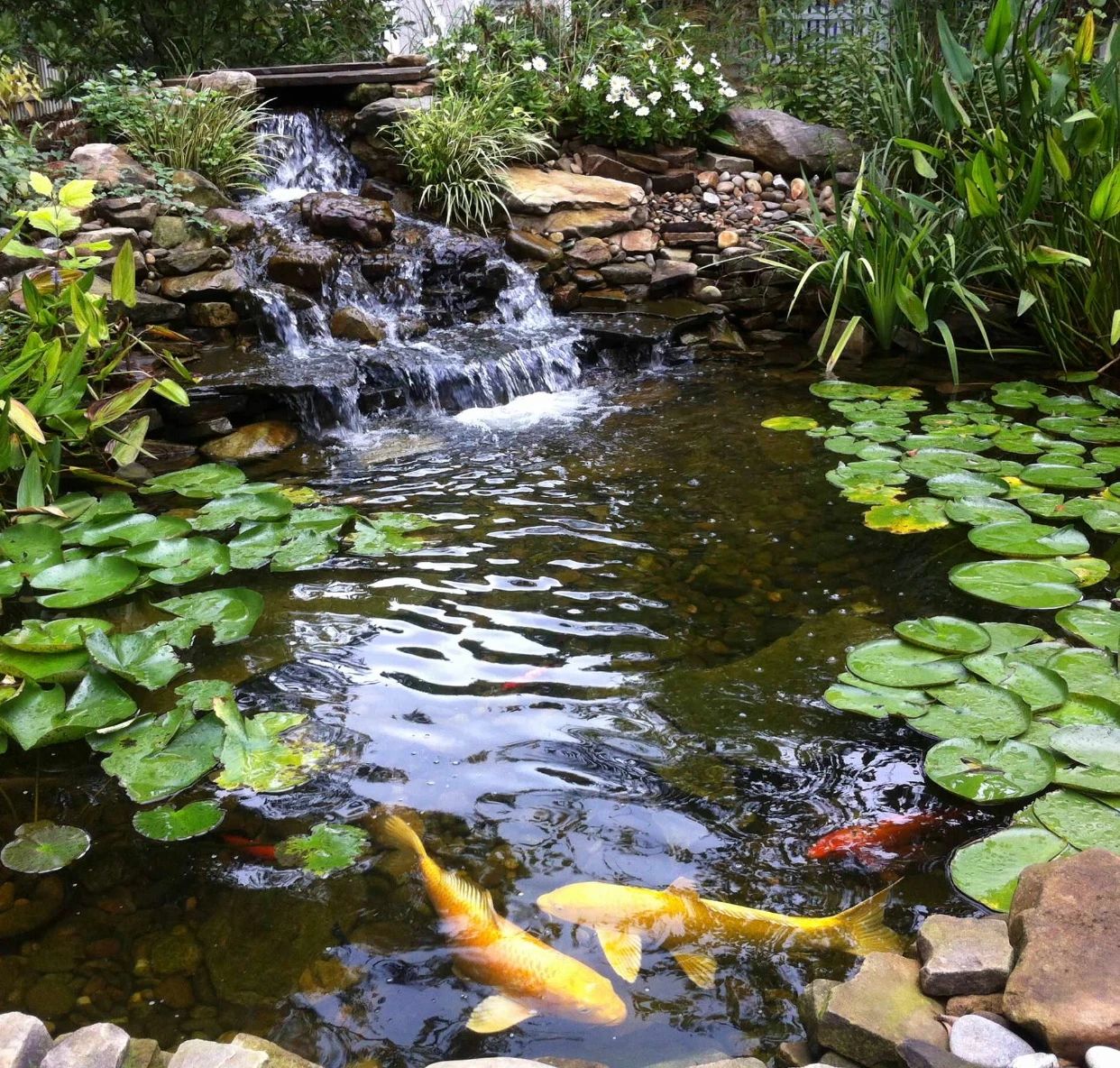 庭院水景作為氛圍感的象征，魚池必不可少！