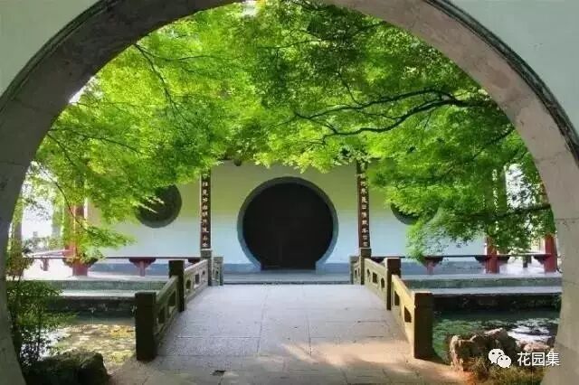 庭院之中來扇月洞門，滿滿的氛圍感！