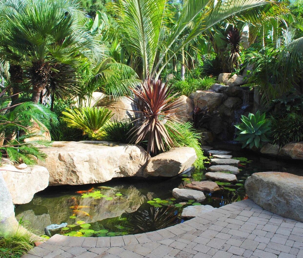 花園魚池該如何打造？看這一篇就夠了